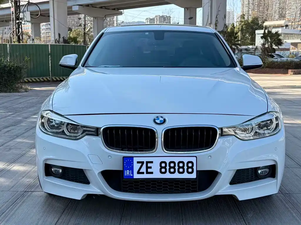 BMW 3 Series 3 2019 320Li M Luxury