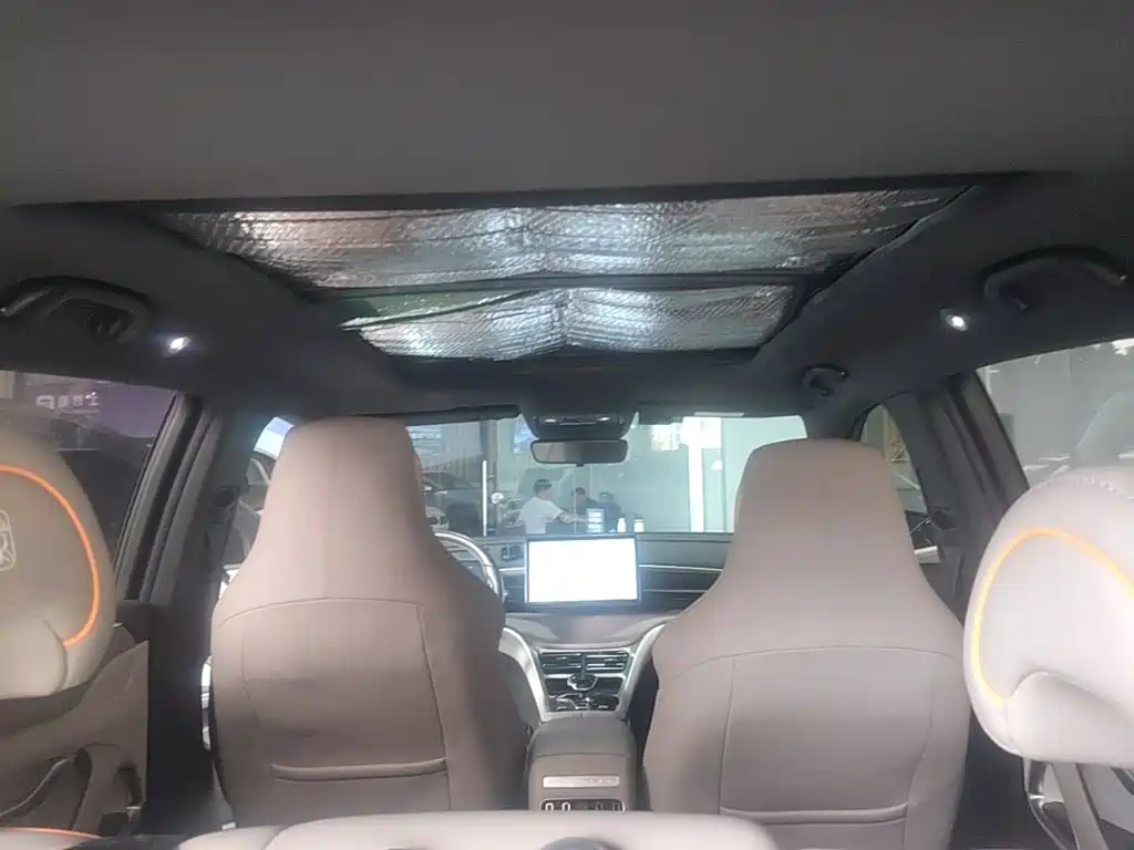 BYD Pro New Energy — миниатюра 18