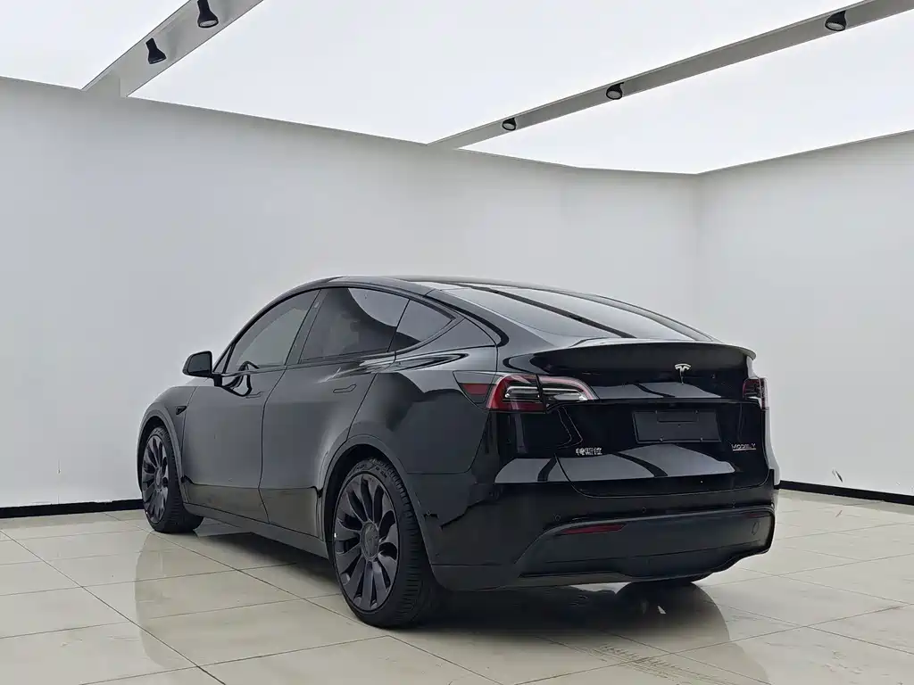 Tesla Model Y — миниатюра 7