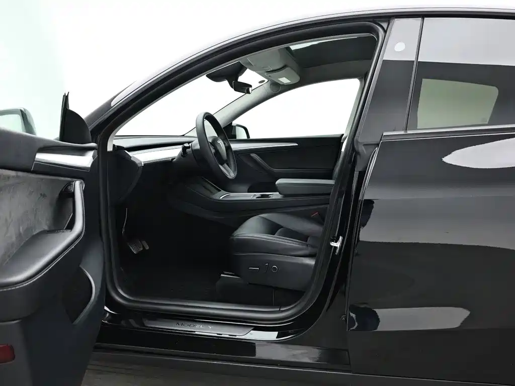 Tesla Model Y — миниатюра 10