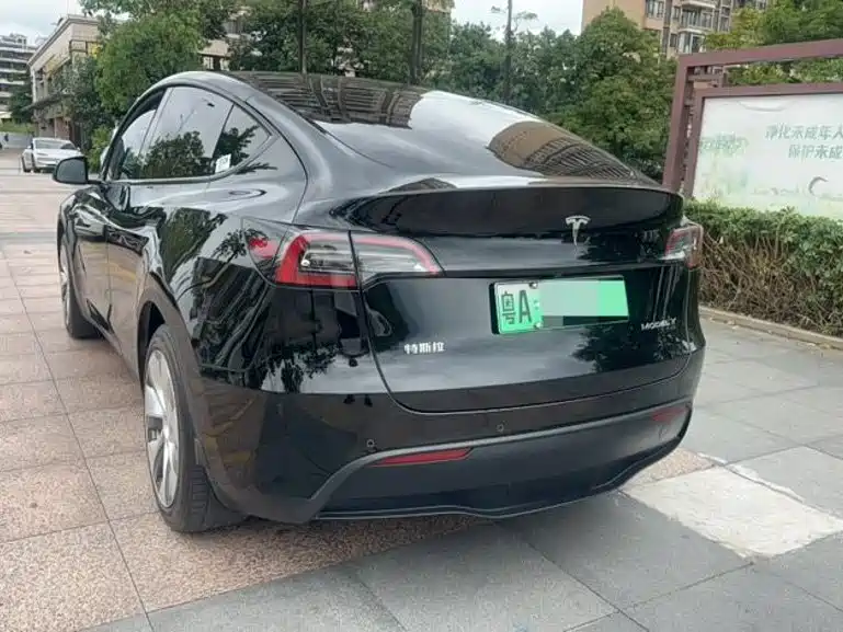 Tesla Model Y — миниатюра 6