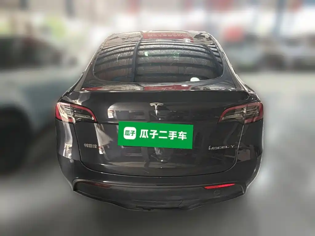 Tesla Model Y — миниатюра 8