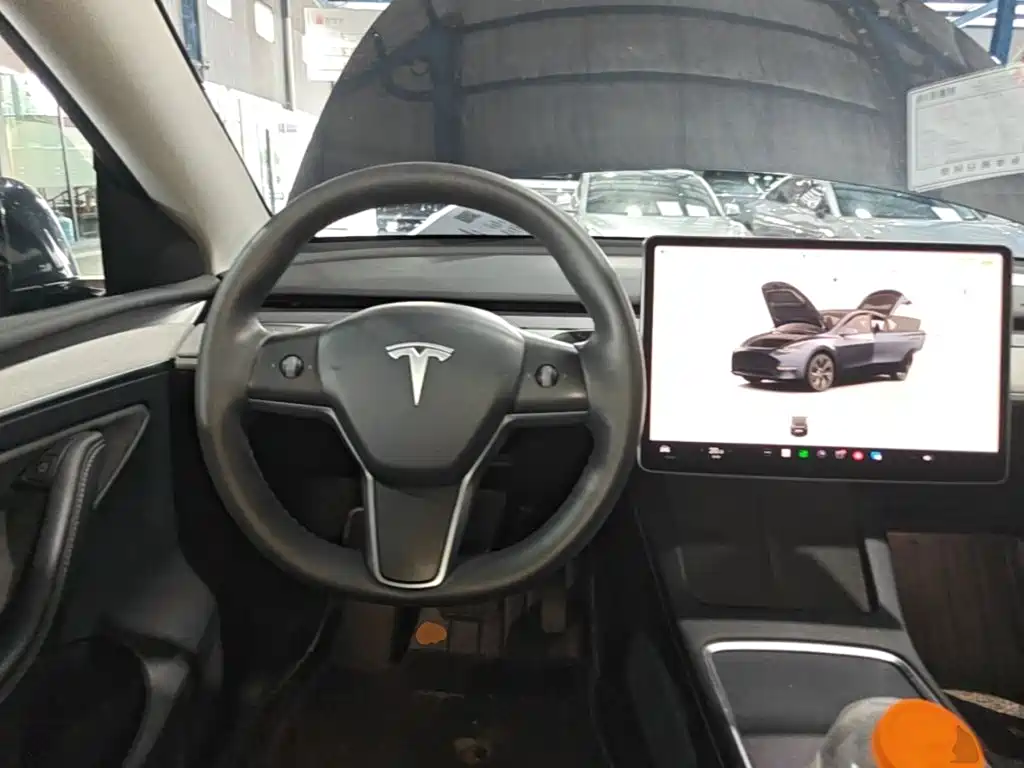 Tesla Model Y — миниатюра 15