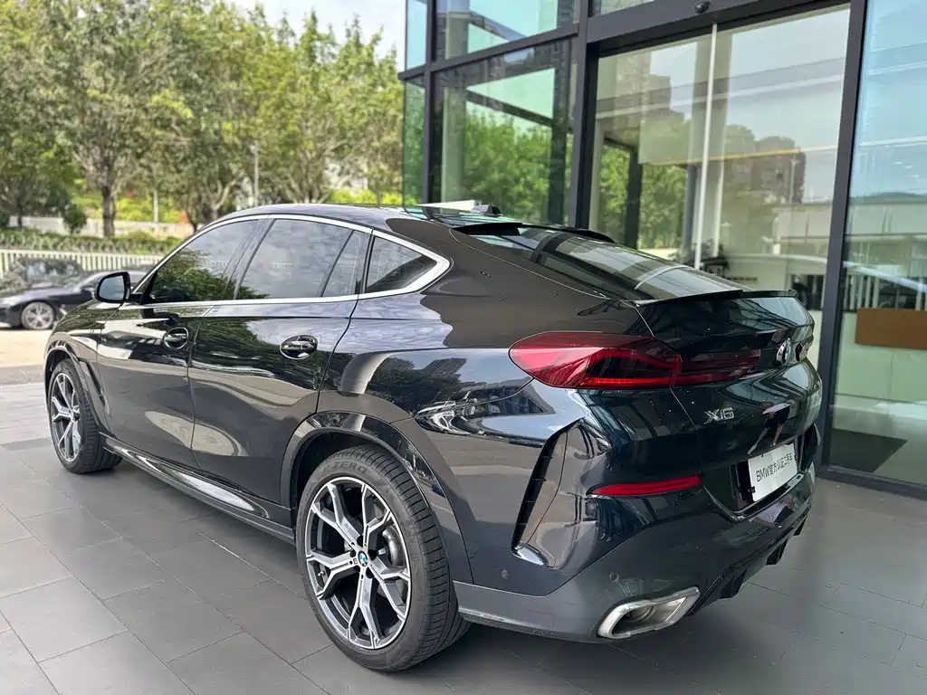 BMW X6 — миниатюра 10