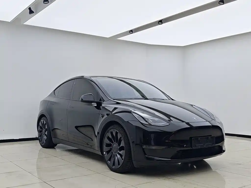 Tesla Model Y — миниатюра 3