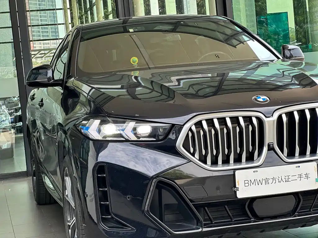BMW X6 — миниатюра 2