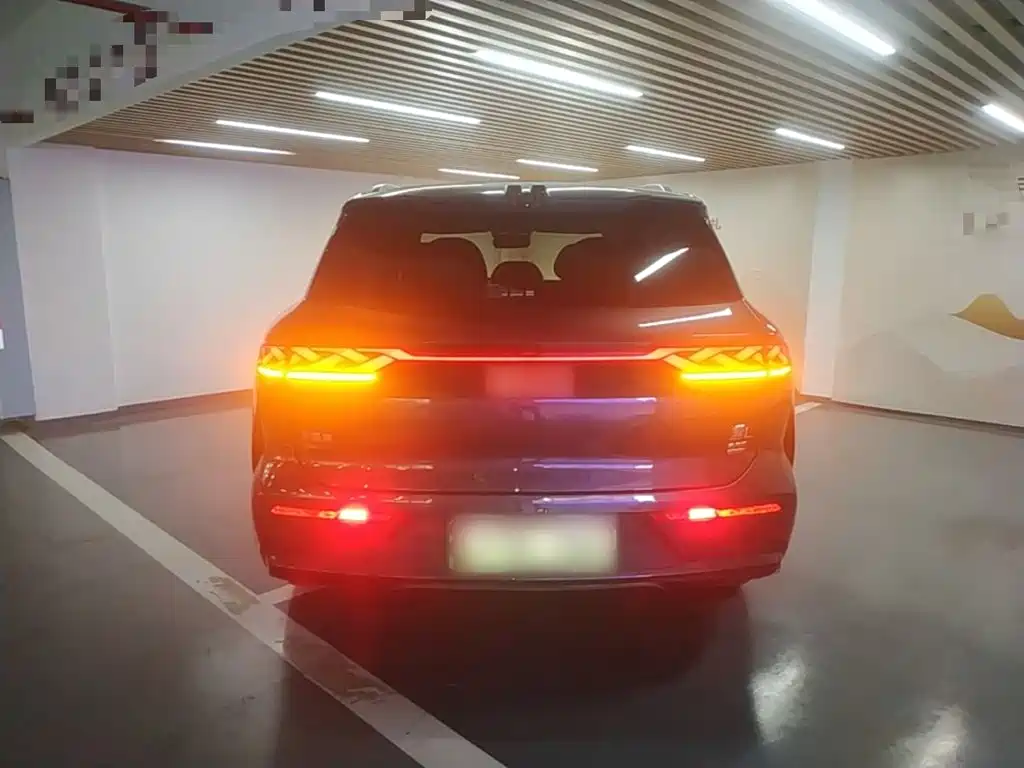 BYD Дон Л. — миниатюра 6