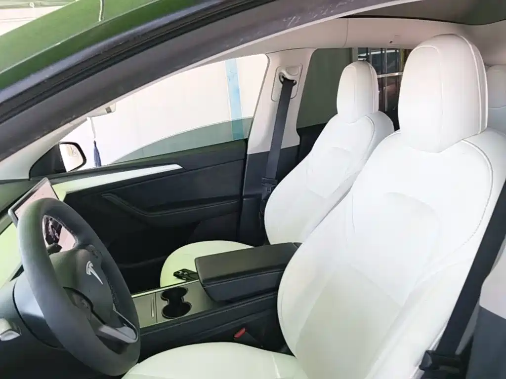Tesla Model Y — миниатюра 22