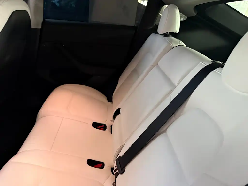Tesla Model Y — миниатюра 10