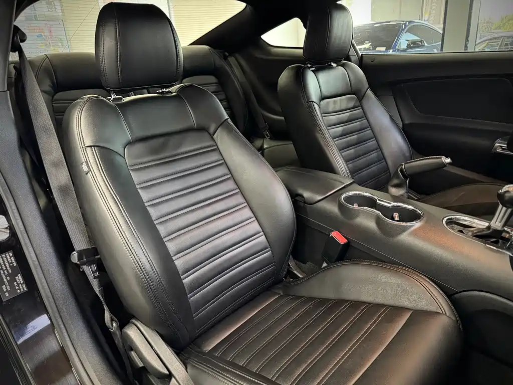 Ford Mustang — миниатюра 6