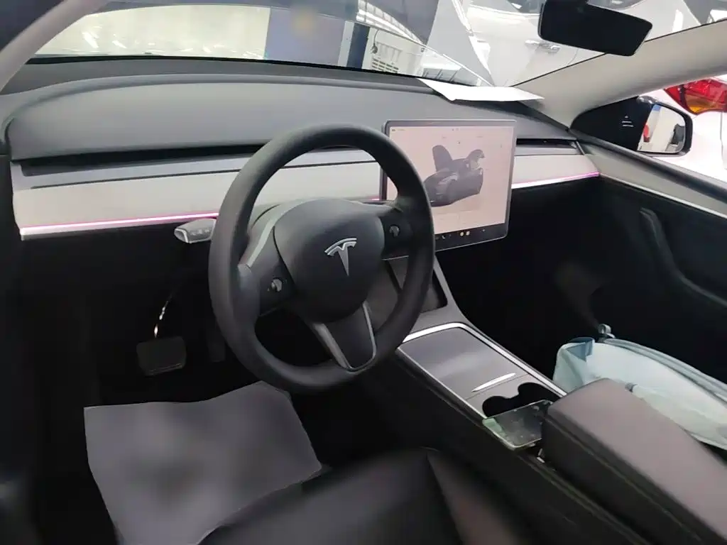 Tesla Model Y — миниатюра 10