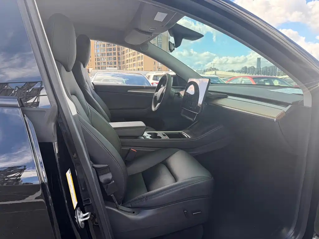Tesla Model Y — миниатюра 5