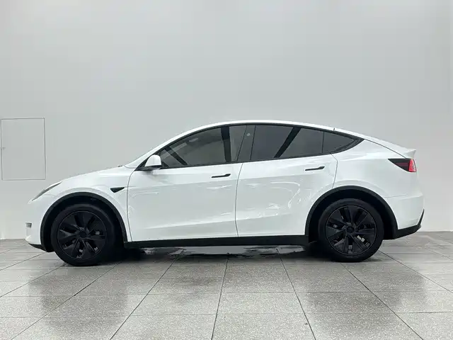Tesla Model Y — миниатюра 8