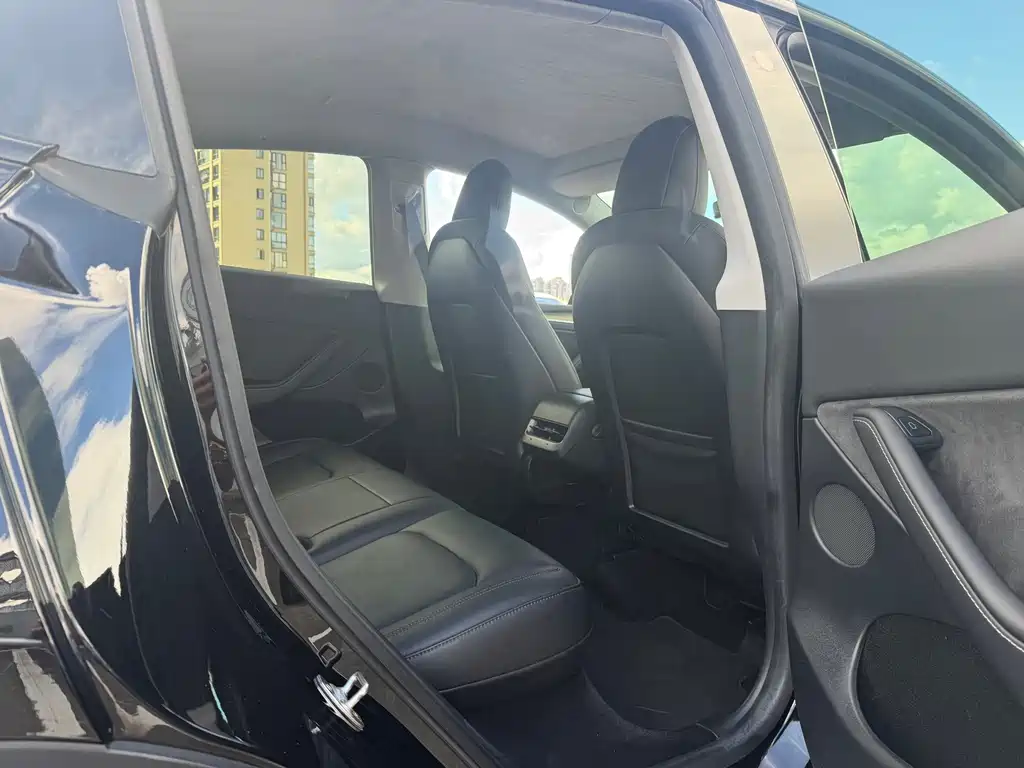 Tesla Model Y — миниатюра 4