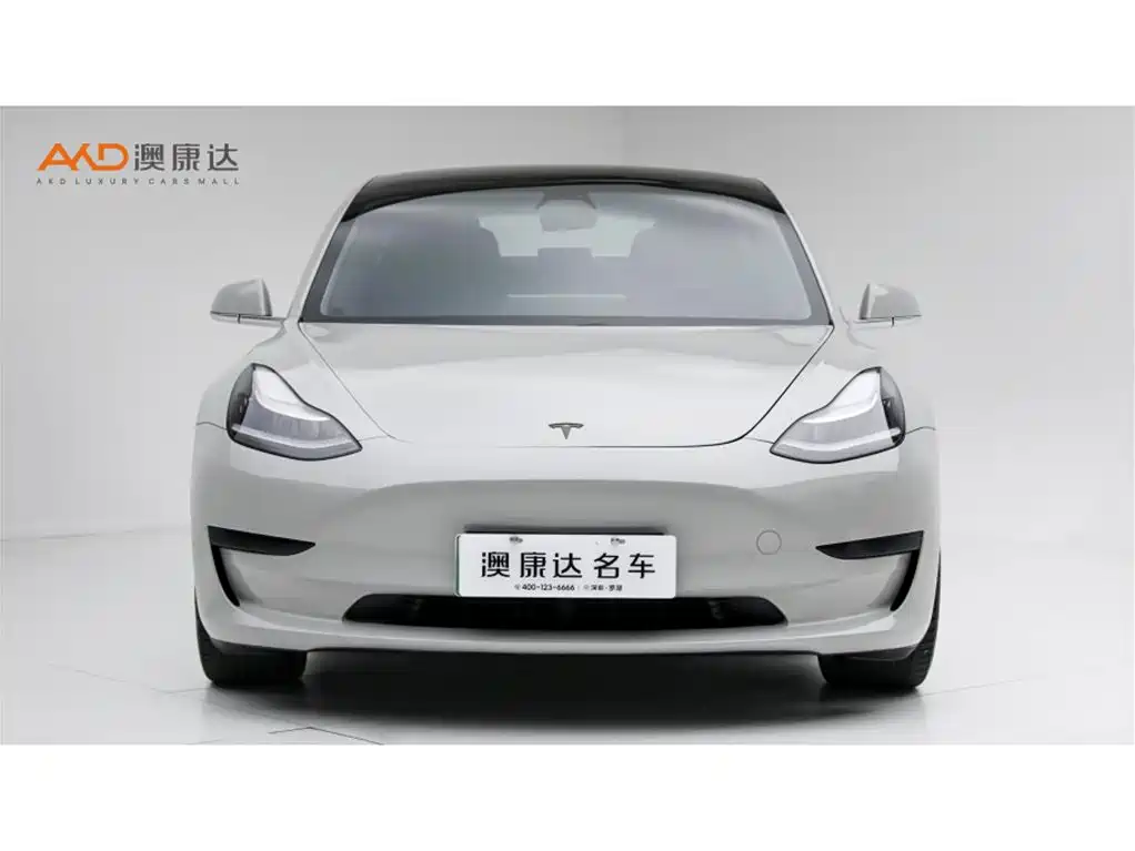 Tesla Model 3 — миниатюра 2