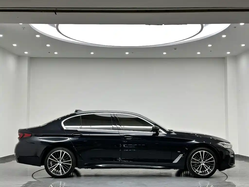 BMW 5 Series — миниатюра 5