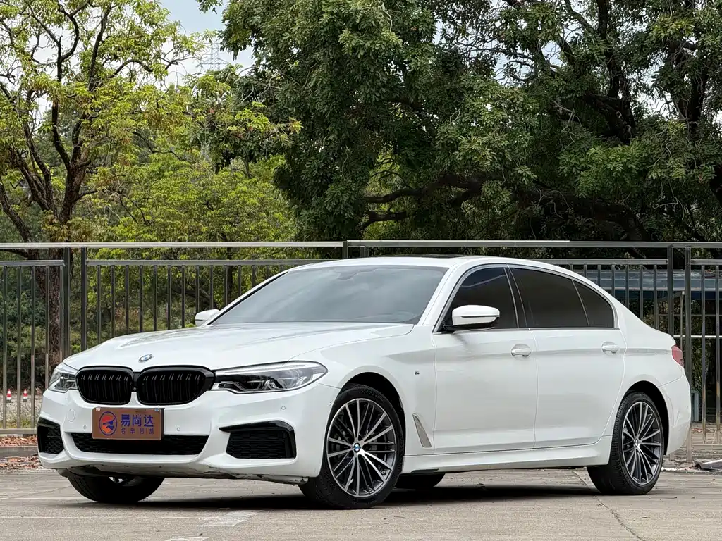 BMW 5 Series — миниатюра 2