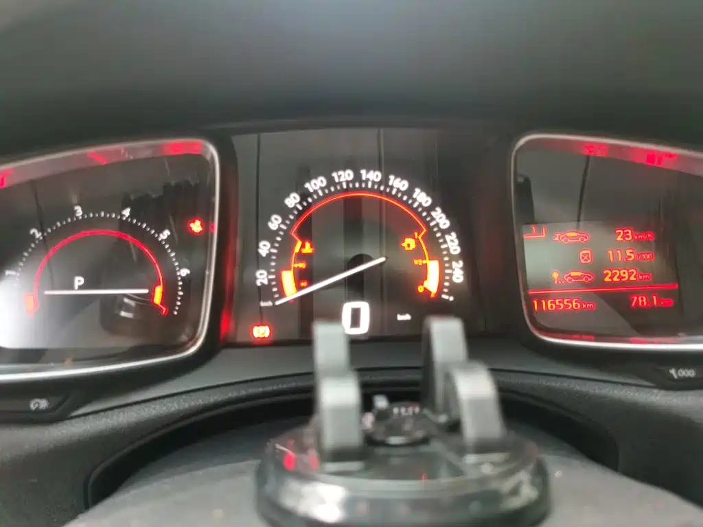 DS DS 5LS — миниатюра 7