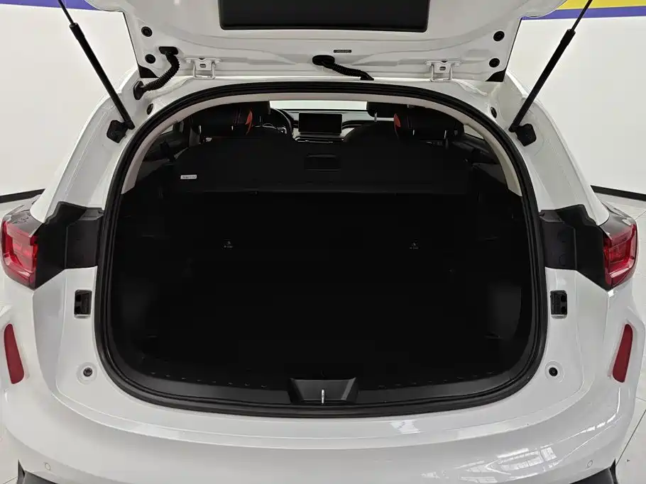 Haval Chitu — миниатюра 4