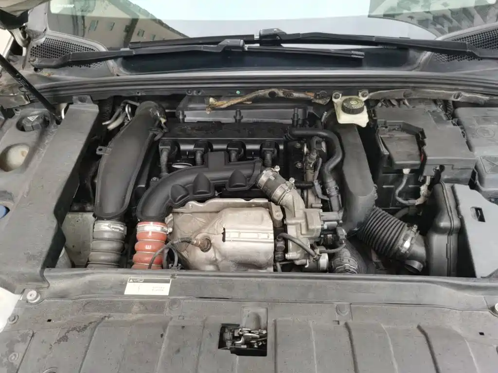 DS DS 5LS — миниатюра 16