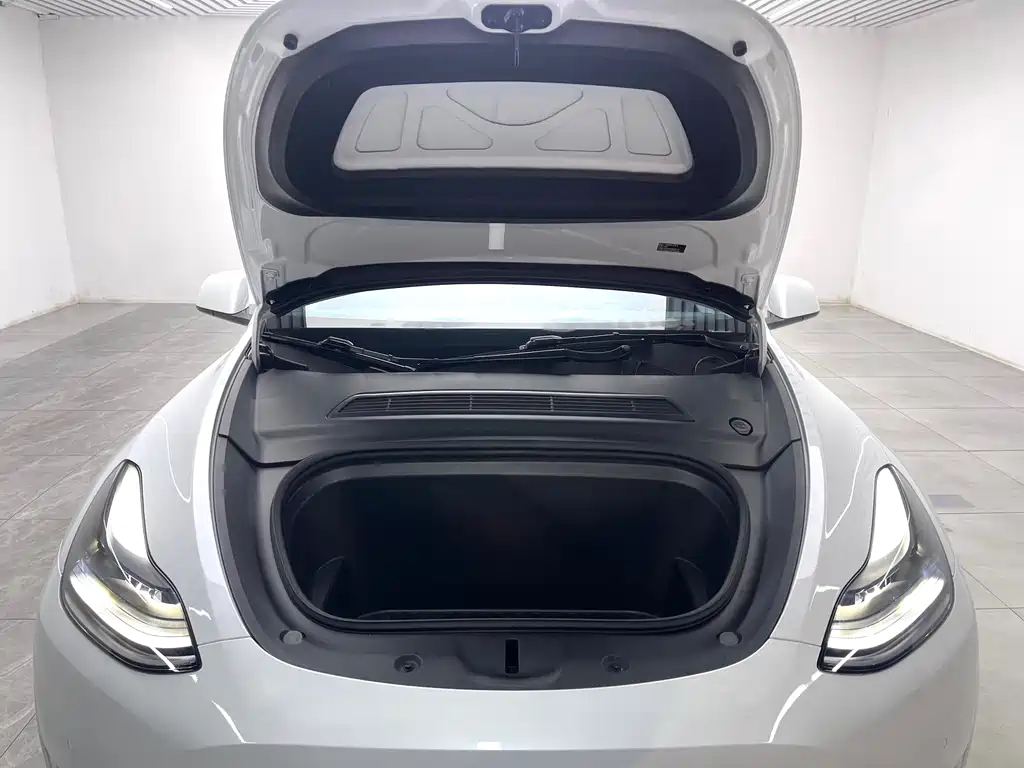 Tesla Model Y — миниатюра 9