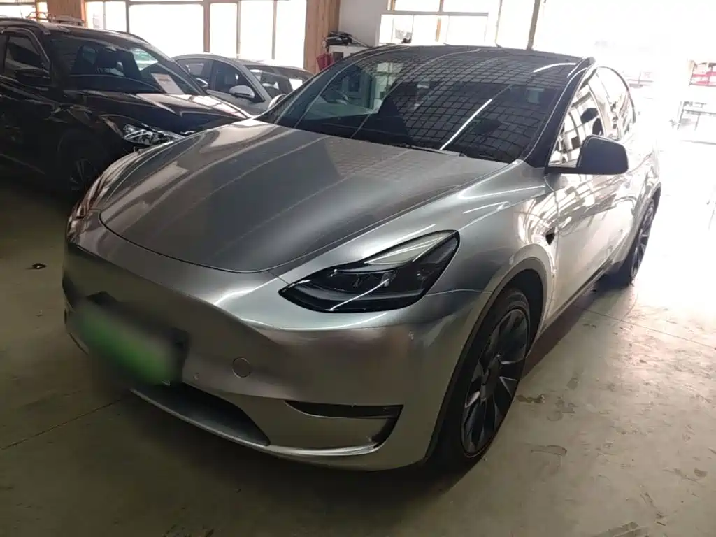 Tesla Model Y — миниатюра 2