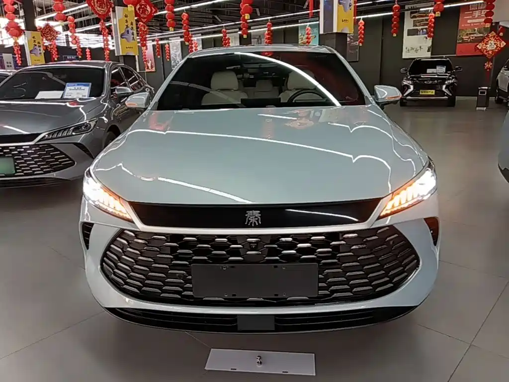 BYD Qin PLUS — миниатюра 3
