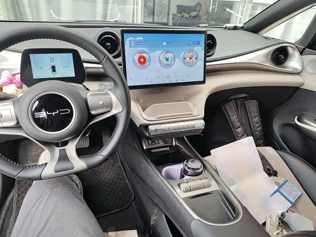 BYD Dolphin — миниатюра 10
