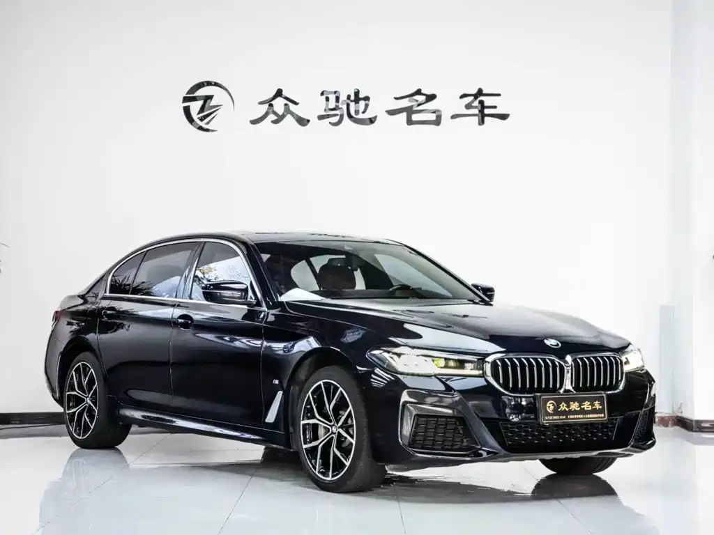 BMW 5 Series — миниатюра 3