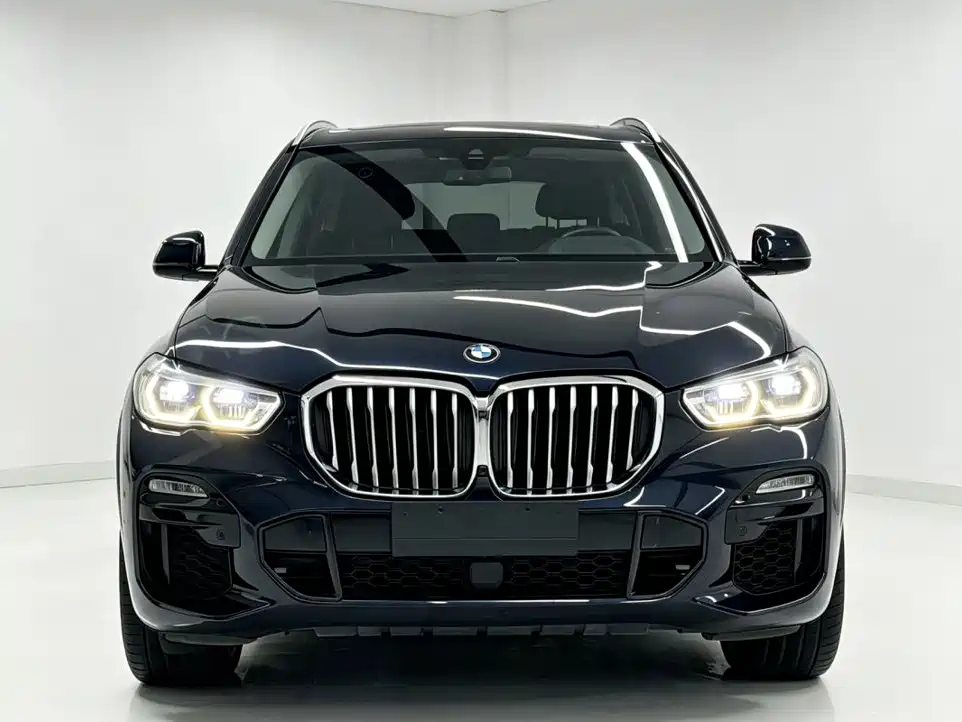 BMW X5 (Import) — миниатюра 2