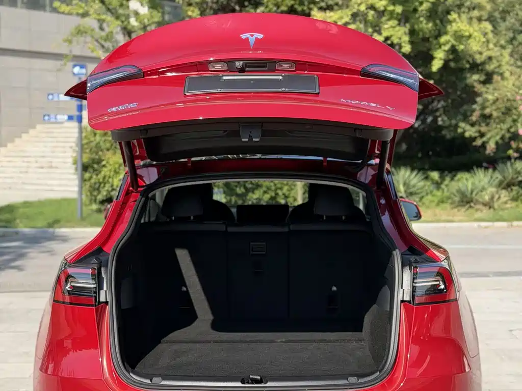 Tesla Model Y — миниатюра 13