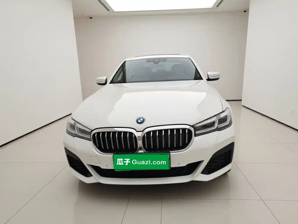 BMW 5 Series New Energy — миниатюра 2