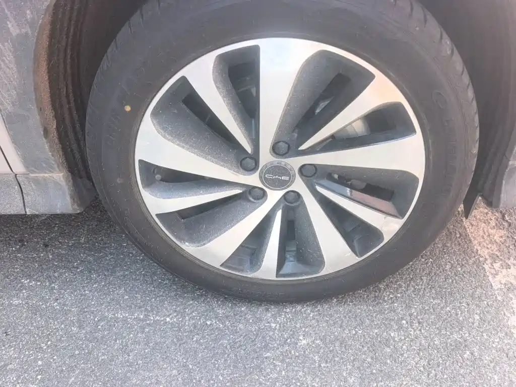 BYD PLUS New Energy — миниатюра 8