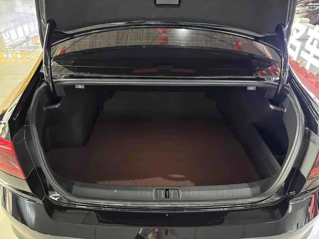 Volkswagen Magotan 2020 330TSI DSG Luxury