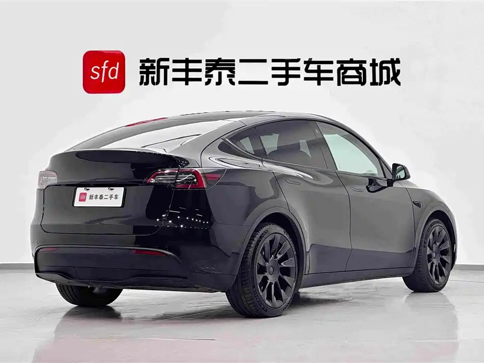 Tesla Model Y — миниатюра 5