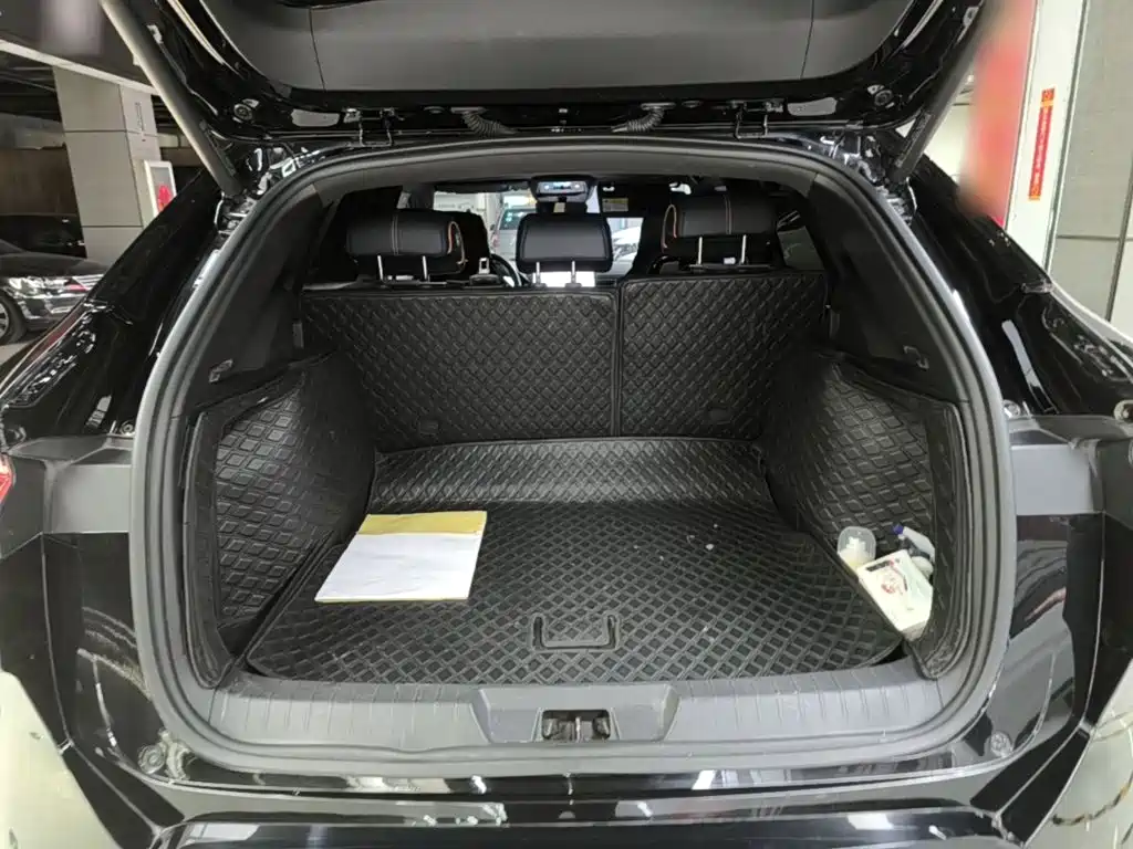 BYD PLUS New Energy — миниатюра 19