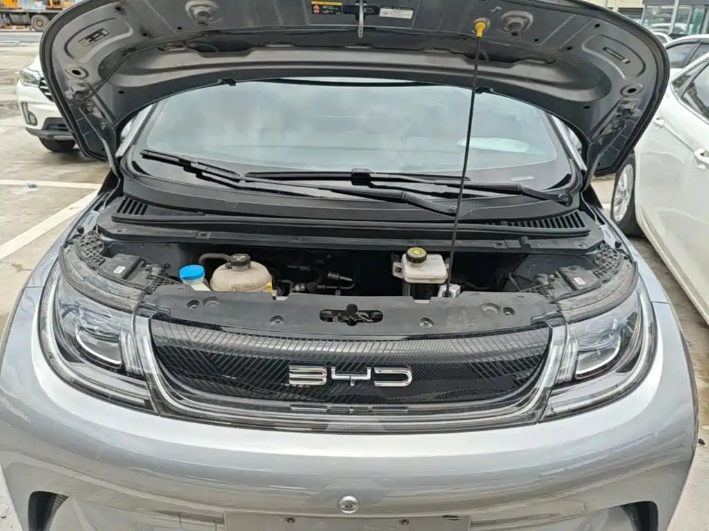 BYD Dolphin — миниатюра 20