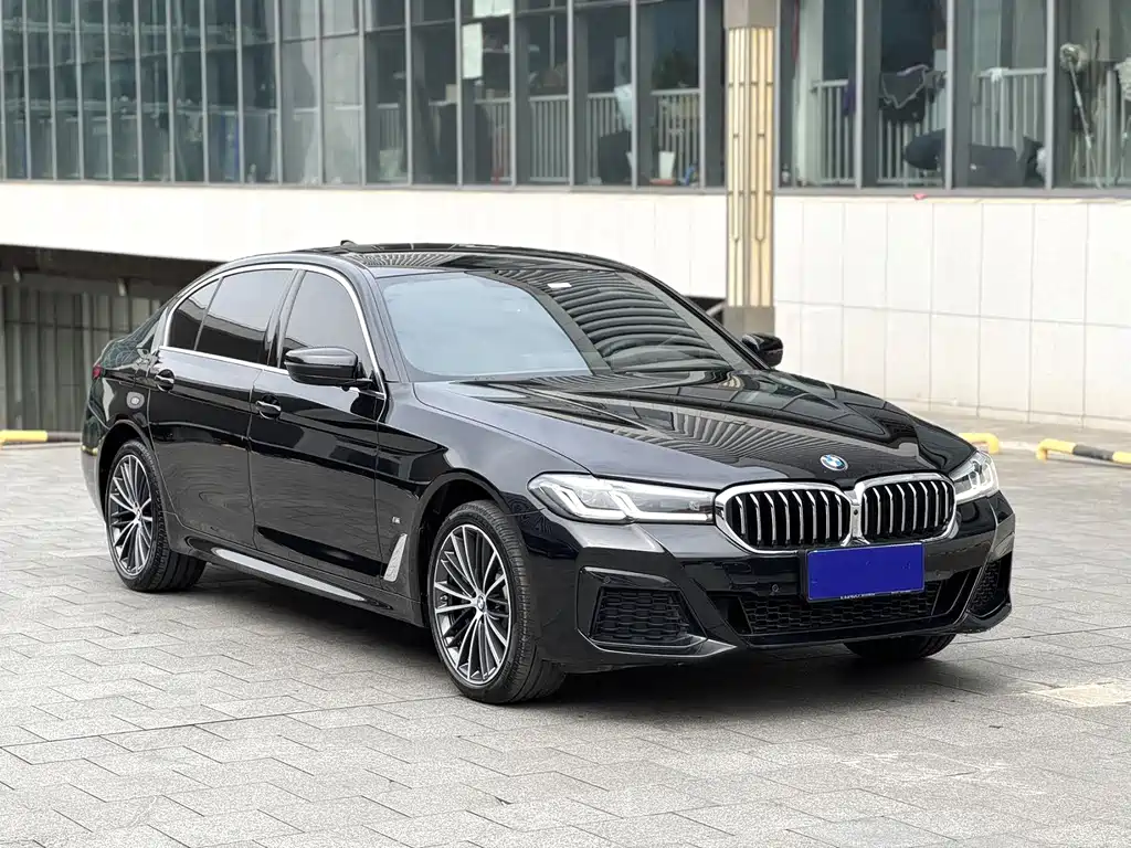 BMW 5 Series — миниатюра 3