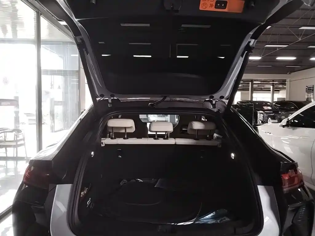BYD L EV — миниатюра 19