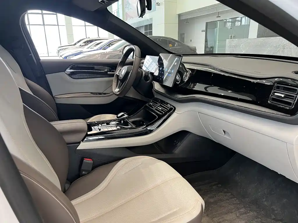 BYD Qin Plus PLUS 2024 DM-i 55KM Lead