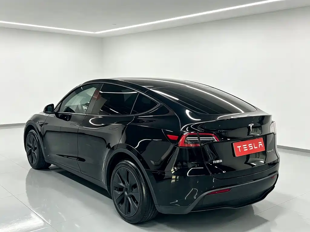 Tesla Model Y — миниатюра 9