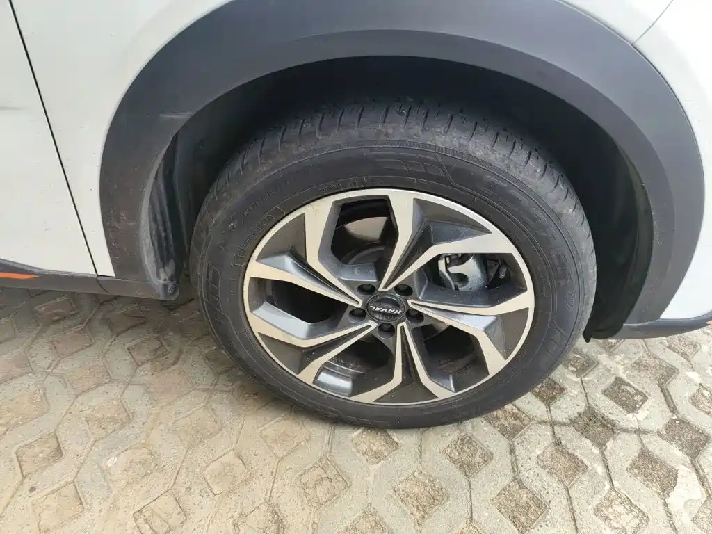 Haval Shenshou — миниатюра 8