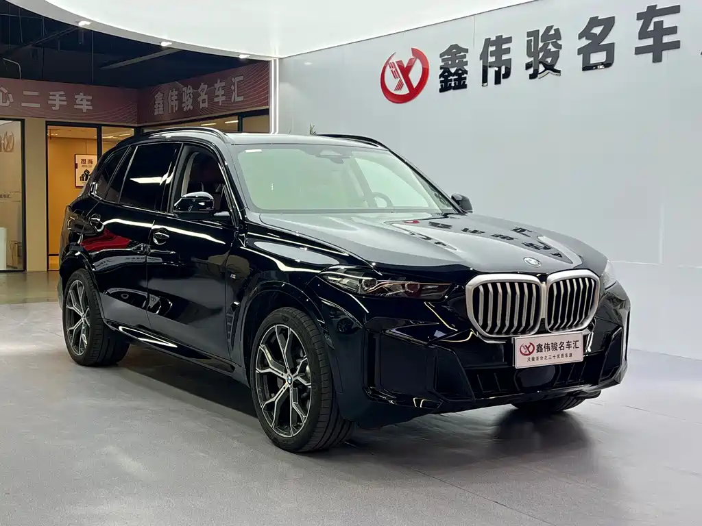 BMW X5 — миниатюра 4