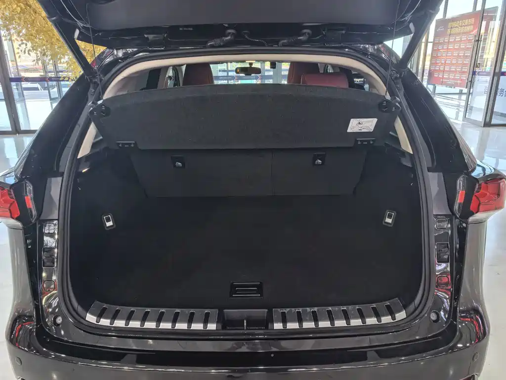 Lexus NX — миниатюра 22