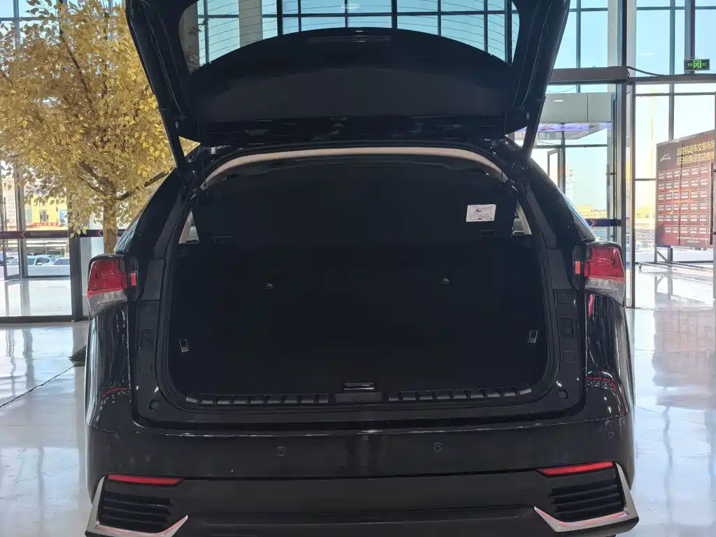 Lexus NX — миниатюра 21