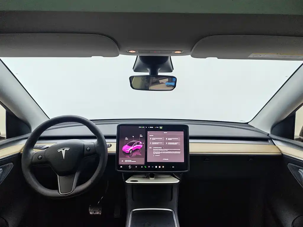 Tesla Model Y — миниатюра 3