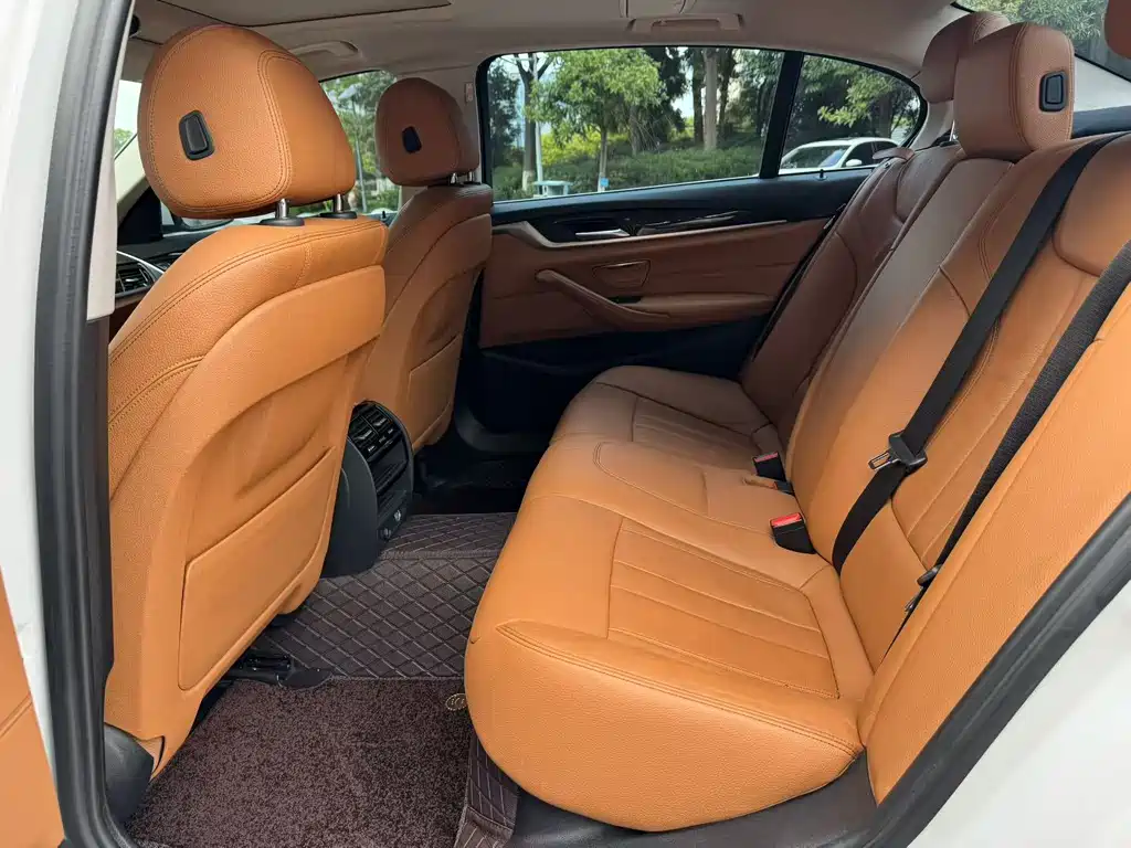 BMW 5 Series 5 2018 528Li