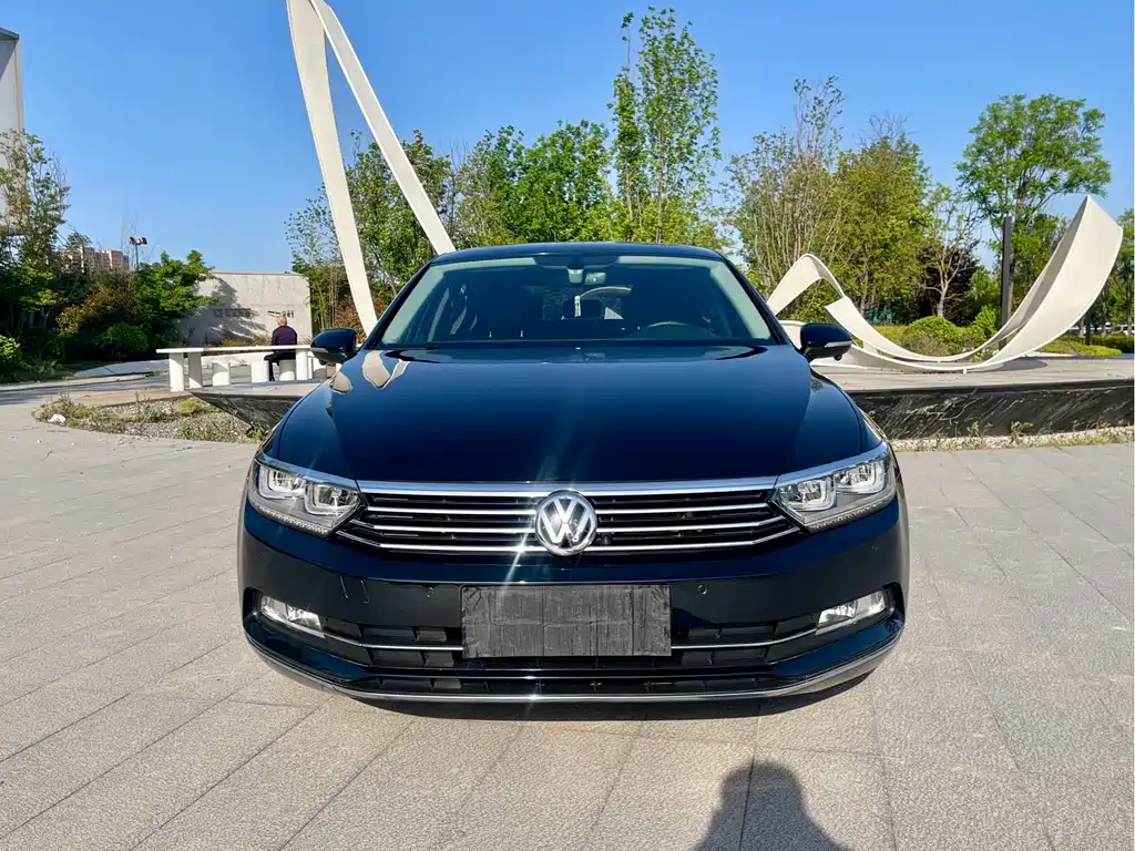 Volkswagen Magotan 2019 380TSI DSG Luxury V
