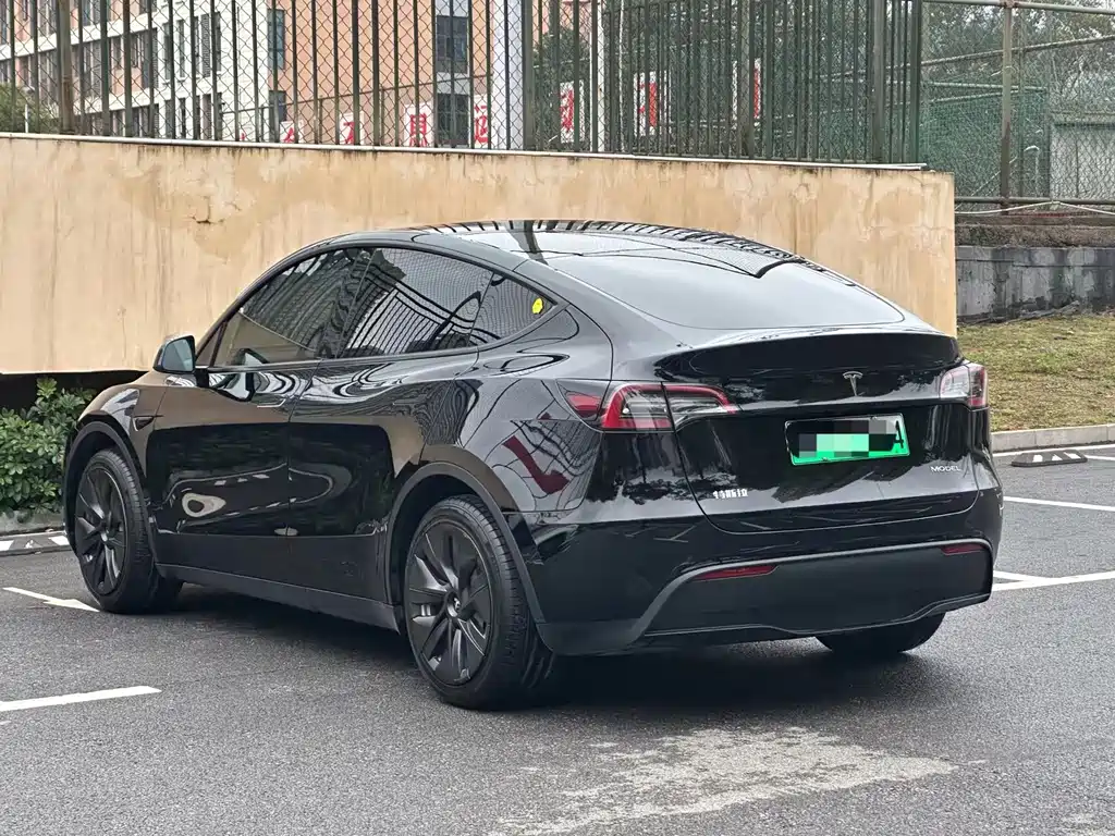 Tesla Model Y — миниатюра 4