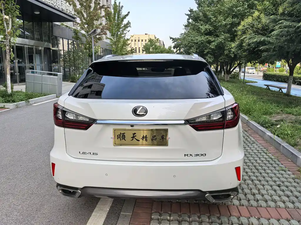 Lexus RX 2020 300 Elegant VI